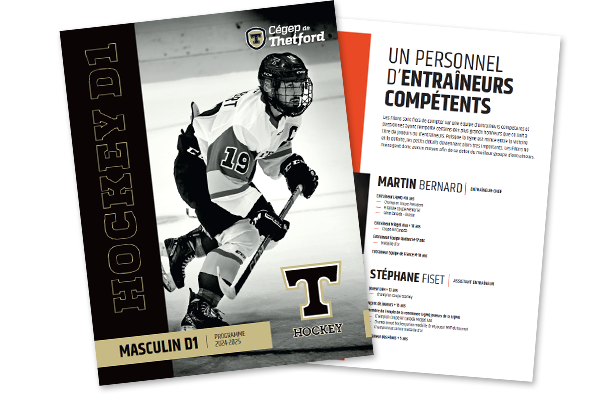 Image de la brochure de hockey