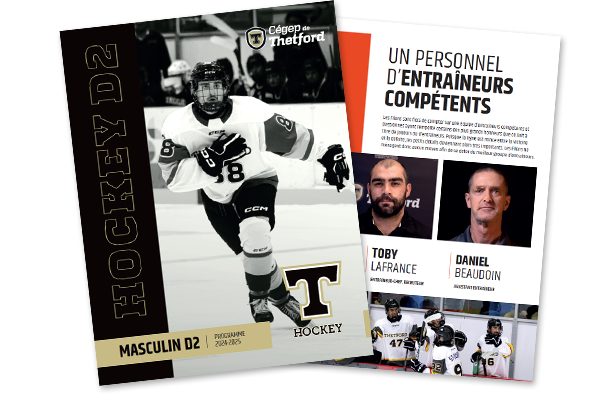 Image de la brochure de hockey